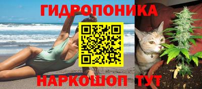 сатива Малгобек